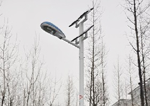 Solar street lamps(图1)