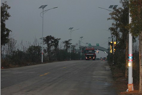 Solar lamps for country road(图1)